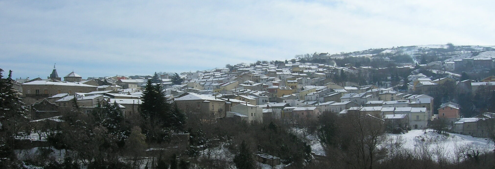 NEVE